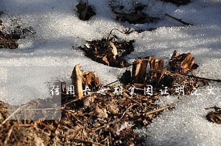 信用卡逾期贫困证明范文