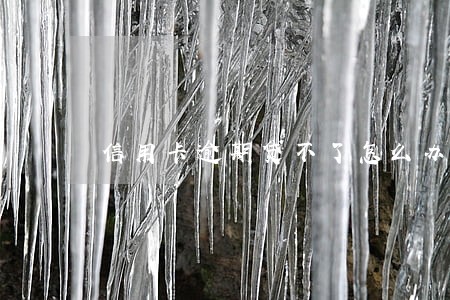 信用卡逾期贷不了怎么办 信用卡逾期贷不了怎么办