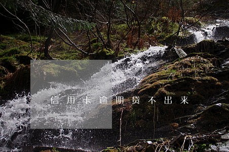 信用卡逾期贷不出来