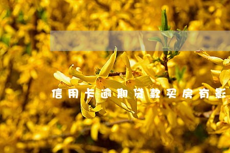 信用卡逾期贷款买房有影响 信用卡逾期贷款买房有影响
