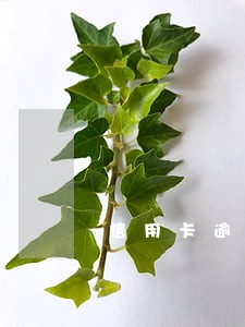 信用卡逾期贷款大师 信用卡逾期贷款大师