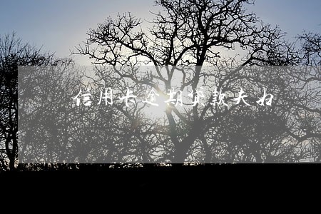 信用卡逾期贷款夫妇 信用卡逾期贷款夫妇