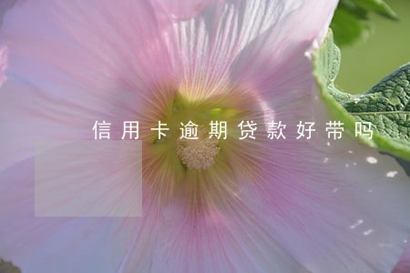 信用卡逾期贷款好带吗 信用卡逾期贷款好带吗