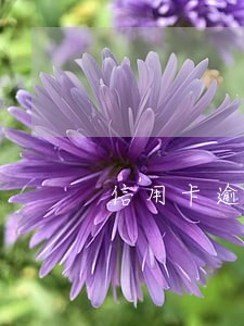信用卡逾期贷款委外催 信用卡逾期贷款委外催