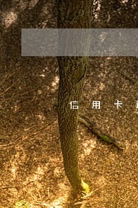 信用卡逾期贷款家人 信用卡逾期贷款家人