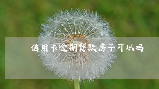 信用卡逾期贷款房子可以吗 信用卡逾期贷款房子可以吗