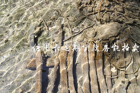信用卡逾期贷款房能拍卖么 信用卡逾期贷款房能拍卖么