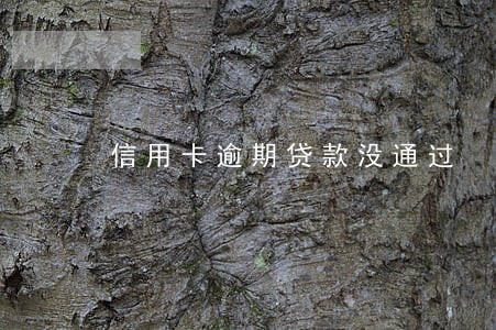 信用卡逾期贷款没通过 信用卡逾期贷款没通过