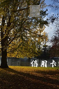 信用卡逾期贷款率 信用卡逾期贷款率