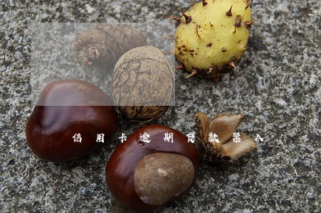 信用卡逾期贷款禁入 信用卡逾期贷款禁入
