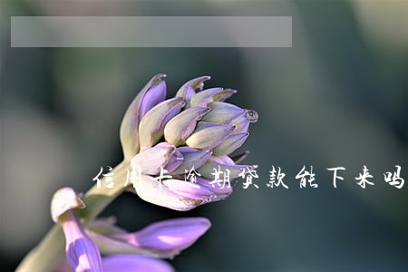 信用卡逾期贷款能下来吗 信用卡逾期贷款能下来吗