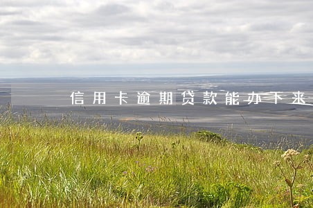 信用卡逾期贷款能办下来吗 信用卡逾期贷款能办下来吗