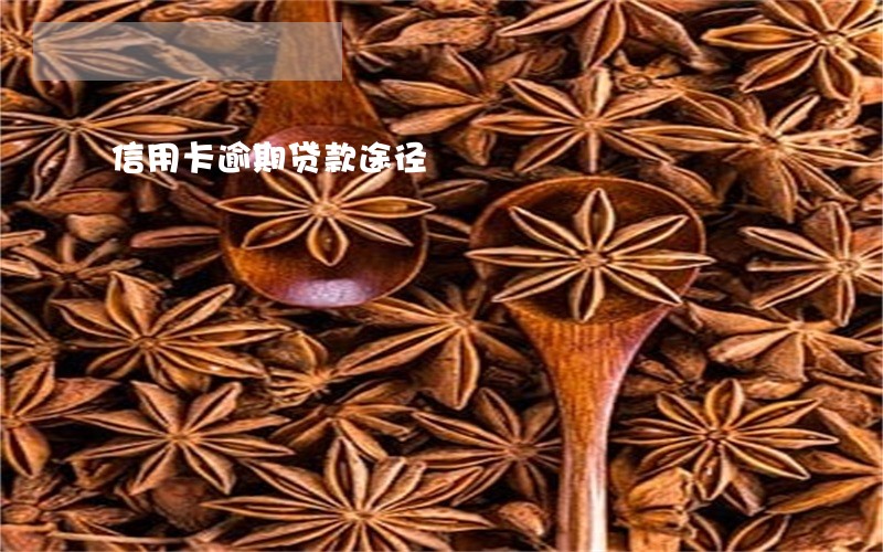 信用卡逾期贷款途径