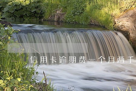 信用卡逾期费一个月两千正常吗 信用卡逾期费一个月两千正常吗