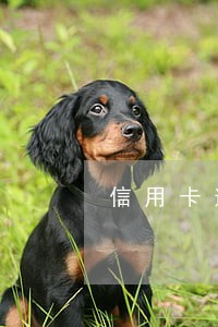 信用卡逾期费免是什么意思 信用卡逾期费免是什么意思
