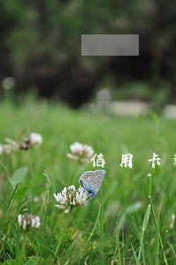 信用卡逾期费减免百分五 信用卡逾期费减免百分五