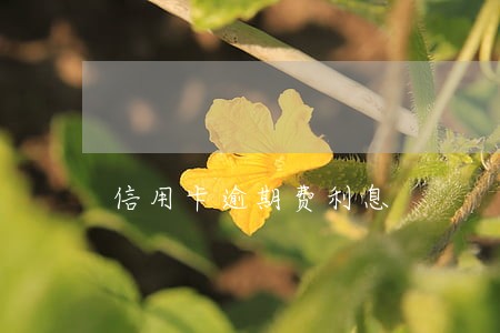 信用卡逾期费利息 信用卡逾期费利息