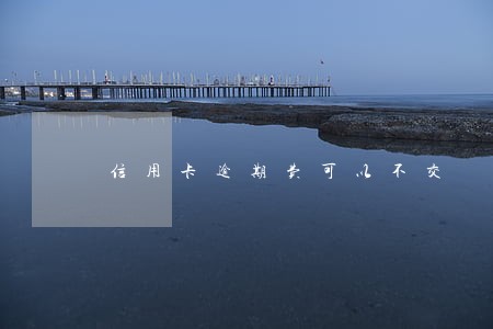 信用卡逾期费可以不交