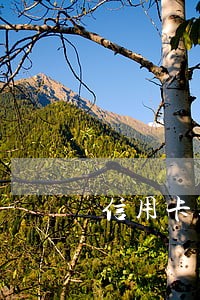 信用卡逾期费和利息 信用卡逾期费和利息