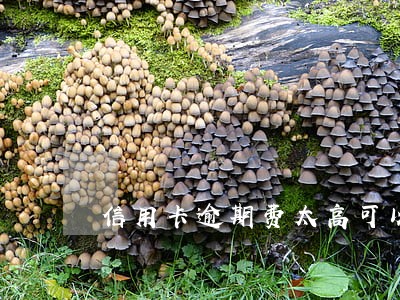 信用卡逾期费太高可以拒绝吗 信用卡逾期费太高可以拒绝吗