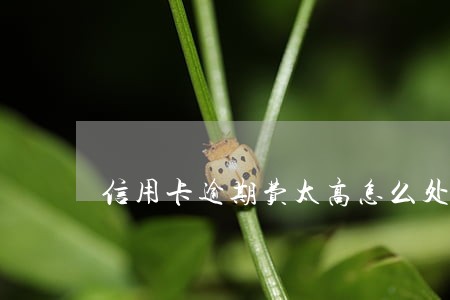 信用卡逾期费太高怎么处理 信用卡逾期费太高怎么处理