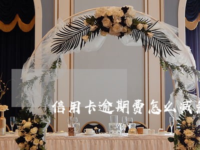 信用卡逾期费怎么减免 信用卡逾期费怎么减免
