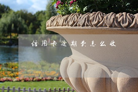 信用卡逾期费怎么收