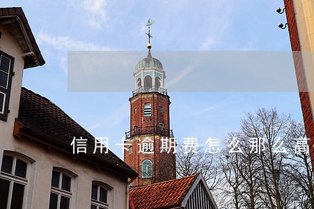 信用卡逾期费怎么那么高 信用卡逾期费怎么那么高