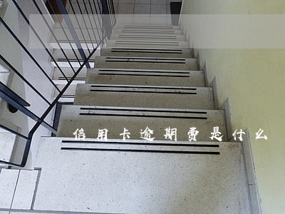 信用卡逾期费是什么 信用卡逾期费是什么