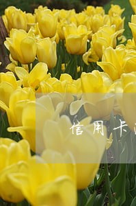 信用卡逾期费最高不超过多少 信用卡逾期费最高不超过多少