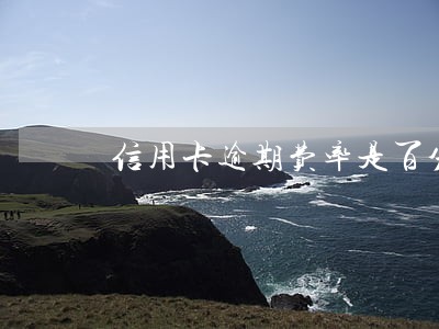 信用卡逾期费率是百分之多少 信用卡逾期费率是百分之多少