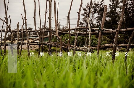 信用卡逾期费用一天怎么算 信用卡逾期费用一天怎么算