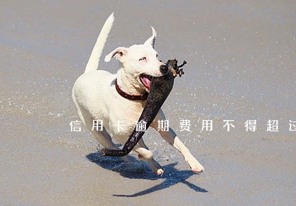 信用卡逾期费用不得超过多少 信用卡逾期费用不得超过多少