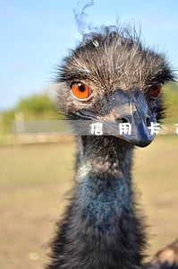 信用卡逾期费用为什么可以要回 信用卡逾期费用为什么可以要回