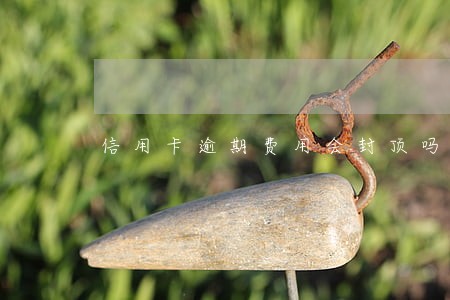 信用卡逾期费用会封顶吗 信用卡逾期费用会封顶吗