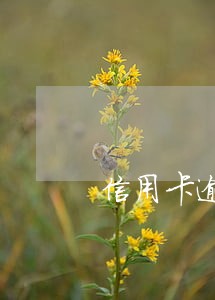 信用卡逾期费用在哪算 信用卡逾期费用在哪算