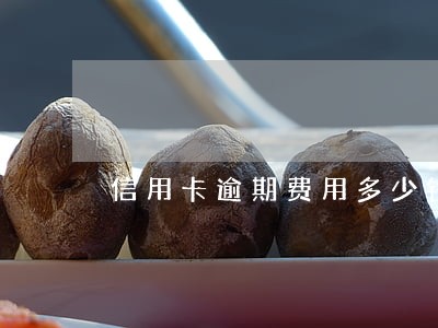 信用卡逾期费用多少钱 信用卡逾期费用多少钱