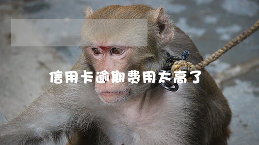 信用卡逾期费用太高了