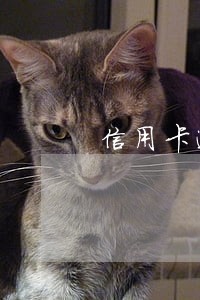 信用卡逾期费用如何换