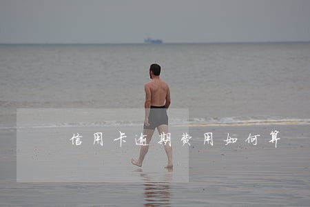 信用卡逾期费用如何算 信用卡逾期费用如何算