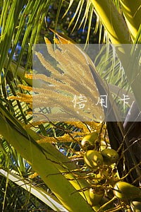 信用卡逾期费用如何追回 信用卡逾期费用如何追回