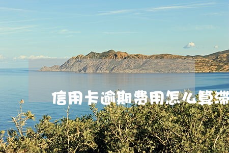 信用卡逾期费用怎么算滞纳金上海 信用卡逾期费用怎么算滞纳金上海