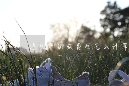 信用卡逾期费用怎么计算滞纳金 信用卡逾期费用怎么计算滞纳金