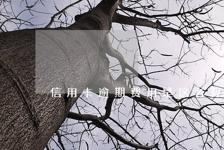 信用卡逾期费用是这么算的 信用卡逾期费用是这么算的