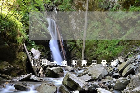 信用卡逾期费用最新 信用卡逾期费用最新
