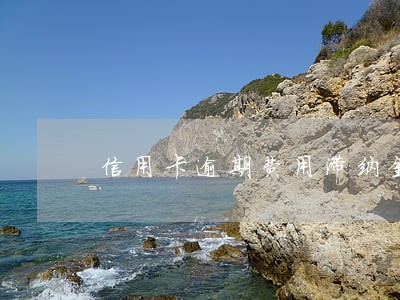 信用卡逾期费用滞纳金 信用卡逾期费用滞纳金