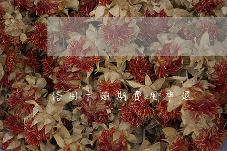 信用卡逾期费用申退