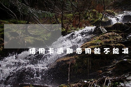 信用卡逾期费用能不能减免点 信用卡逾期费用能不能减免点
