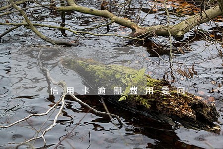 信用卡逾期费用要回