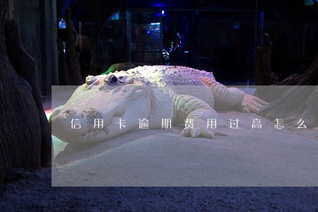 信用卡逾期费用过高怎么办 信用卡逾期费用过高怎么办